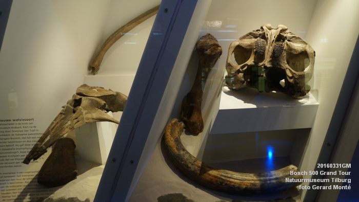 DSC02729- Bosch 500 Grand Tour Natuurmuseum Tilburg - 31maart2016 - foto GerardMontE web
