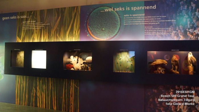 DSC02730- Bosch 500 Grand Tour Natuurmuseum Tilburg - 31maart2016 - foto GerardMontE web