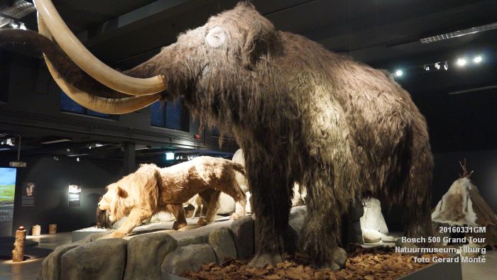 DSC02745- Bosch 500 Grand Tour Natuurmuseum Tilburg - 31maart2016 - foto GerardMontE web