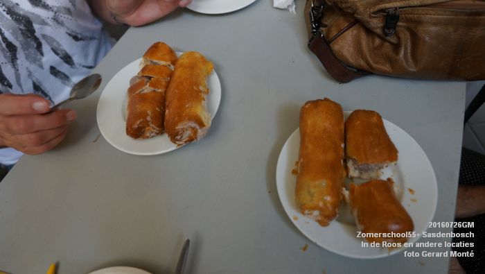 DSC07910- Zomerschool55+ Sasdenbosch - In de Roos Zuiderparkweg - 26juli2016 -  foto GerardMontE web