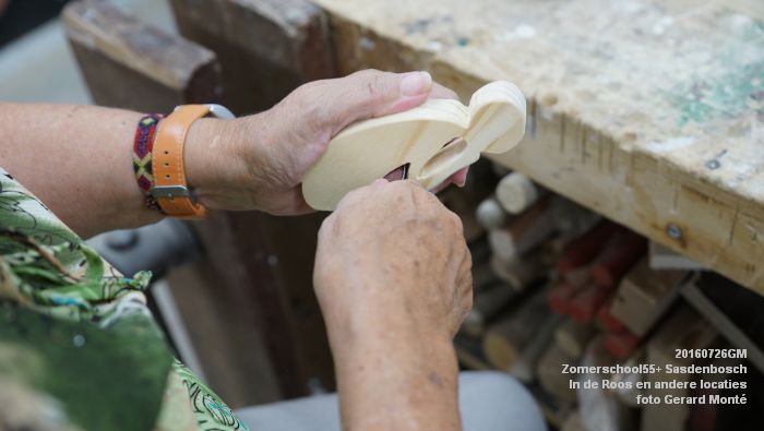 DSC07938- Zomerschool55+ Sasdenbosch - In de Roos Zuiderparkweg - 26juli2016 -  foto GerardMontE web