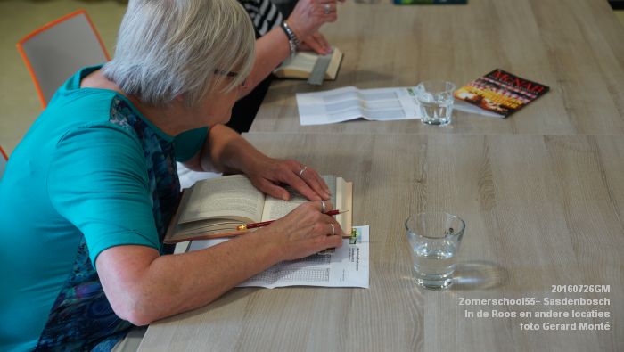 DSC07959- Zomerschool55+ Sasdenbosch - In de Roos Zuiderparkweg - 26juli2016 -  foto GerardMontE web