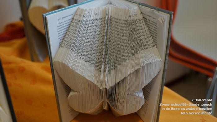 DSC07966- Zomerschool55+ Sasdenbosch - In de Roos Zuiderparkweg - 26juli2016 -  foto GerardMontE web