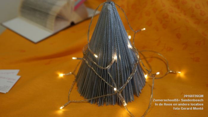 DSC07967- Zomerschool55+ Sasdenbosch - In de Roos Zuiderparkweg - 26juli2016 -  foto GerardMontE web