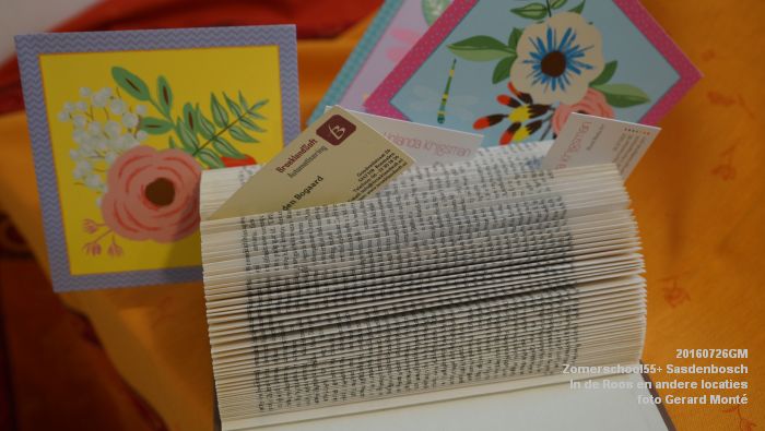 DSC07969- Zomerschool55+ Sasdenbosch - In de Roos Zuiderparkweg - 26juli2016 -  foto GerardMontE web