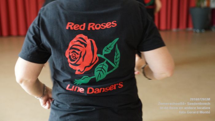 DSC07976- Zomerschool55+ Sasdenbosch - In de Roos Zuiderparkweg - 26juli2016 -  foto GerardMontE web