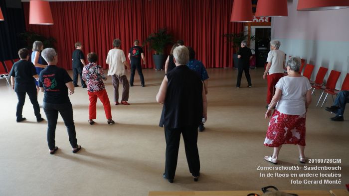 DSC07983- Zomerschool55+ Sasdenbosch - In de Roos Zuiderparkweg - 26juli2016 -  foto GerardMontE web