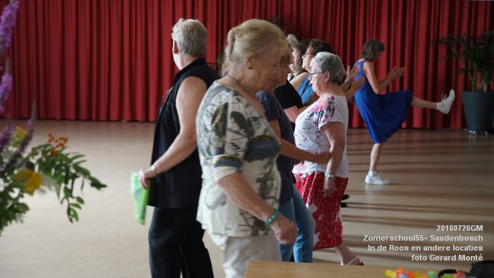 DSC07997- Zomerschool55+ Sasdenbosch - In de Roos Zuiderparkweg - 26juli2016 -  foto GerardMontE web