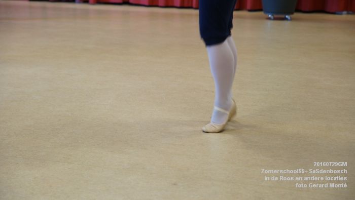 DSC08153- Zomerschool55+ SaSdenbosch - In de Roos Zuiderparkweg - 29juli2016 -  foto GerardMontE web