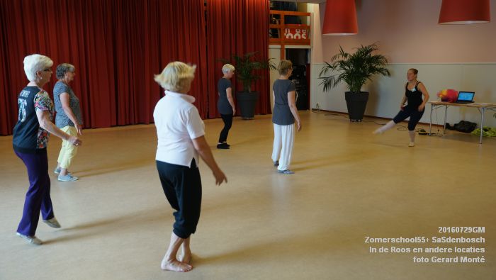 DSC08165- Zomerschool55+ SaSdenbosch - In de Roos Zuiderparkweg - 29juli2016 -  foto GerardMontE web