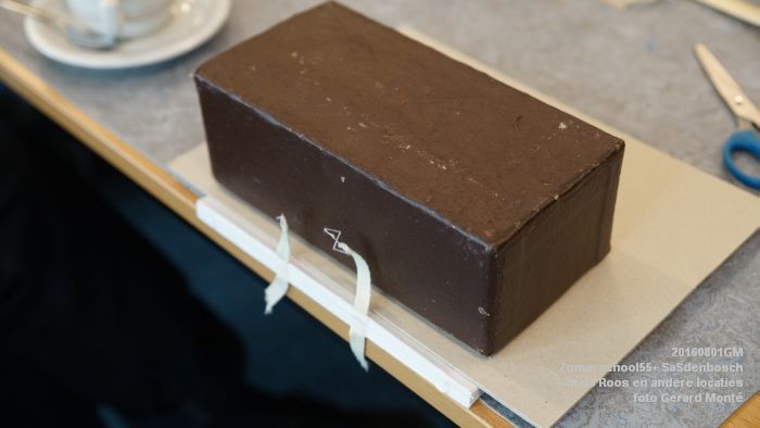 DSC08626- Zomerschool55+ SaSdenbosch - In de Roos Zuiderparkweg - 1aug2016 -  foto GerardMontE web