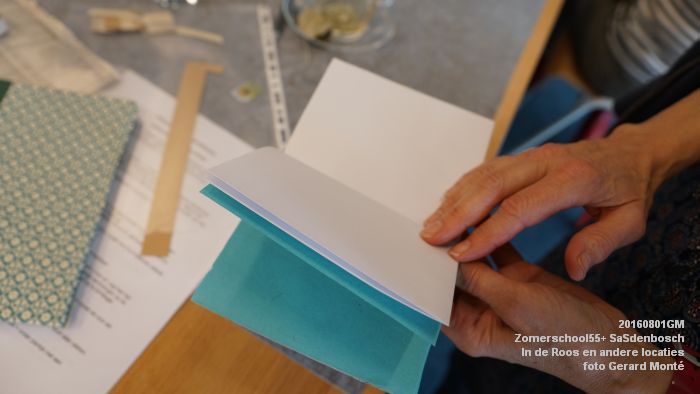 DSC08632- Zomerschool55+ SaSdenbosch - In de Roos Zuiderparkweg - 1aug2016 -  foto GerardMontE web