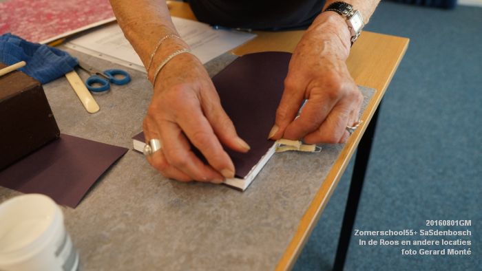 DSC08650- Zomerschool55+ SaSdenbosch - In de Roos Zuiderparkweg - 1aug2016 -  foto GerardMontE web