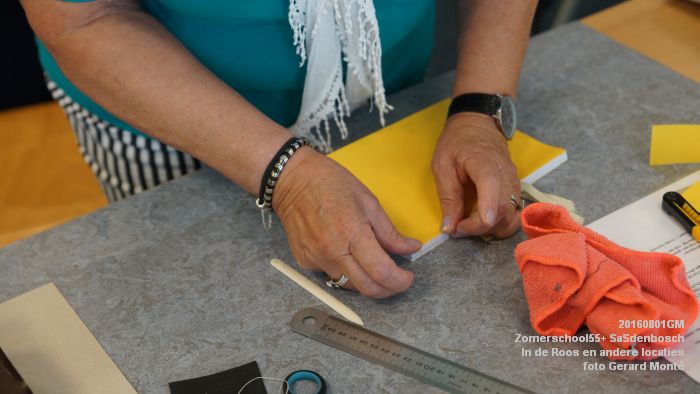DSC08654- Zomerschool55+ SaSdenbosch - In de Roos Zuiderparkweg - 1aug2016 -  foto GerardMontE web
