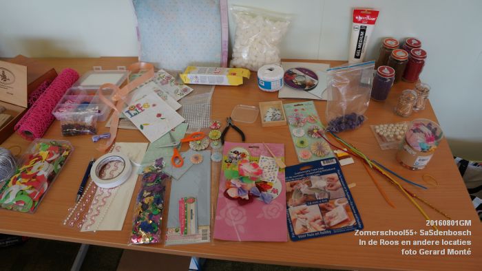 DSC08678- Zomerschool55+ SaSdenbosch - In de Roos Zuiderparkweg - 1aug2016 -  foto GerardMontE web