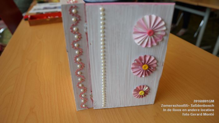 DSC08684- Zomerschool55+ SaSdenbosch - In de Roos Zuiderparkweg - 1aug2016 -  foto GerardMontE web