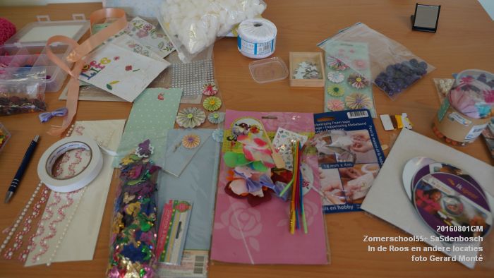 DSC08686- Zomerschool55+ SaSdenbosch - In de Roos Zuiderparkweg - 1aug2016 -  foto GerardMontE web