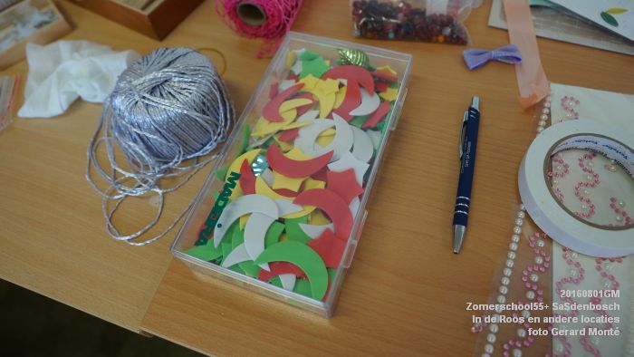 DSC08687- Zomerschool55+ SaSdenbosch - In de Roos Zuiderparkweg - 1aug2016 -  foto GerardMontE web