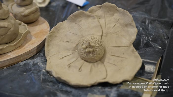 DSC08703- Zomerschool55+ SaSdenbosch - In de Roos Zuiderparkweg - 2aug2016 -  foto GerardMontE web