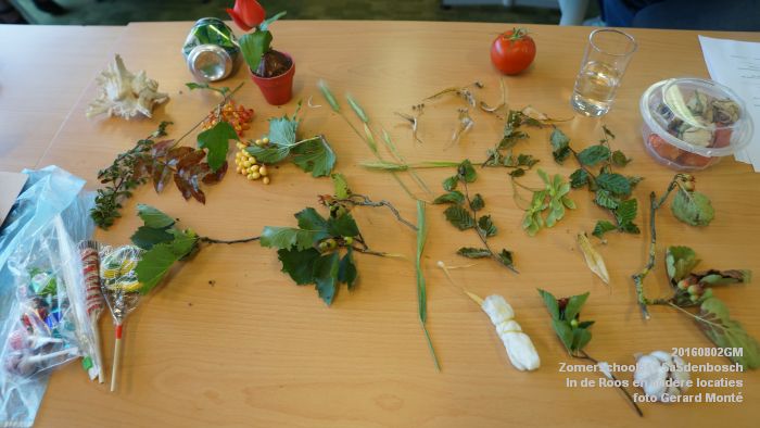 DSC08718- Zomerschool55+ SaSdenbosch - In de Roos Zuiderparkweg - 2aug2016 -  foto GerardMontE web