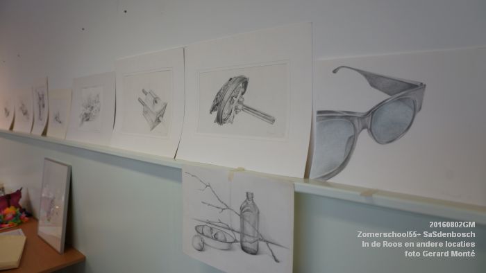 DSC08721- Zomerschool55+ SaSdenbosch - In de Roos Zuiderparkweg - 2aug2016 -  foto GerardMontE web