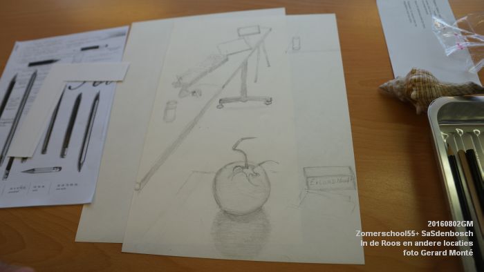 DSC08722- Zomerschool55+ SaSdenbosch - In de Roos Zuiderparkweg - 2aug2016 -  foto GerardMontE web