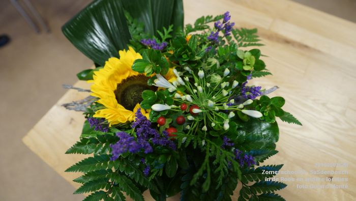 DSC08731- Zomerschool55+ SaSdenbosch - In de Roos Zuiderparkweg - 3aug2016 -  foto GerardMontE web