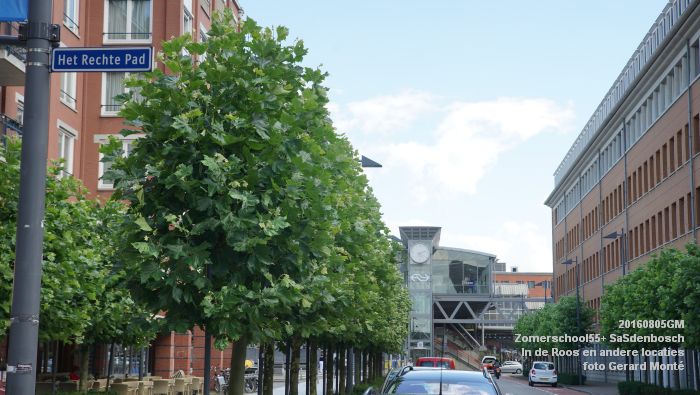 DSC09300- Zomerschool55+ SaSdenbosch - In de Roos Zuiderparkweg - 5aug2016 -  foto GerardMontE web