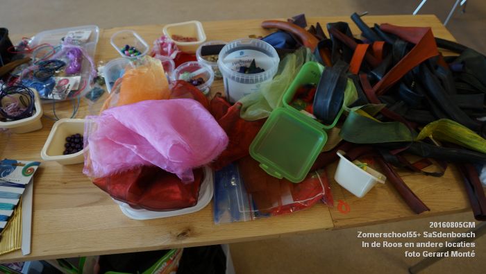 DSC09363- Zomerschool55+ SaSdenbosch - In de Roos Zuiderparkweg - 5aug2016 -  foto GerardMontE web
