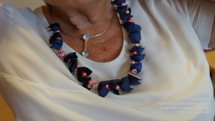 DSC09369- Zomerschool55+ SaSdenbosch - In de Roos Zuiderparkweg - 5aug2016 -  foto GerardMontE web