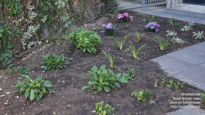 aeDSC00246- Vicki Brown-huis aan de Aartshertogenlaan-Graafsweg tuin - 25aug2016 -  foto GerardMontE web