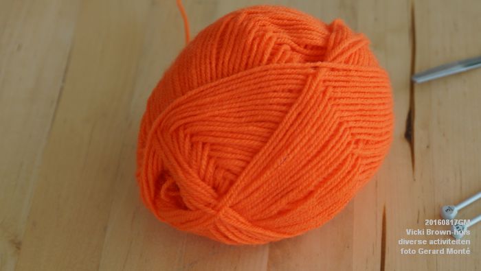 bcDSC02574- Vicki Brown-huis - breien en creatieve activiteiten - 21april2016 -  foto Gerard MontE-  web