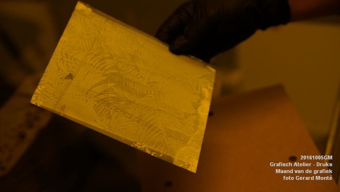 DSC07864-  GA Vreemd - Landelijke manifestatie Maand van de grafiek - 5oktober2016 -  foto GerardMontE web