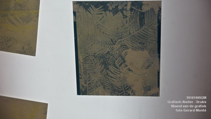 DSC07877-  GA Vreemd - Landelijke manifestatie Maand van de grafiek - 5oktober2016 -  foto GerardMontE web