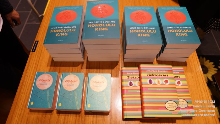 eDSC00100- biebplein den bosch Anne-Gine Goemans Honolulu King -13oktober2016 -  foto GerardMontE web