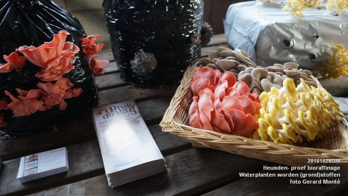 DSC01488- Heusden - praktijkproef bioraffinage - Waterplanten worden duurzame -grond-stoffen.- 26oktober2016 - foto GerardMontE web