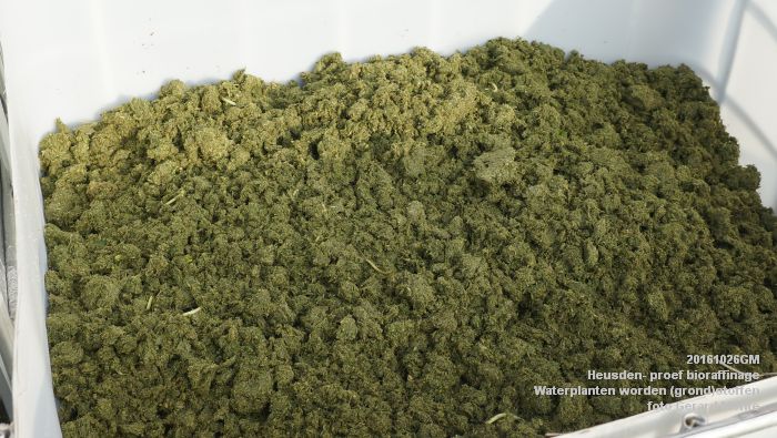 DSC01539- Heusden - praktijkproef bioraffinage - Waterplanten worden duurzame -grond-stoffen.- 26oktober2016 - foto GerardMontE web