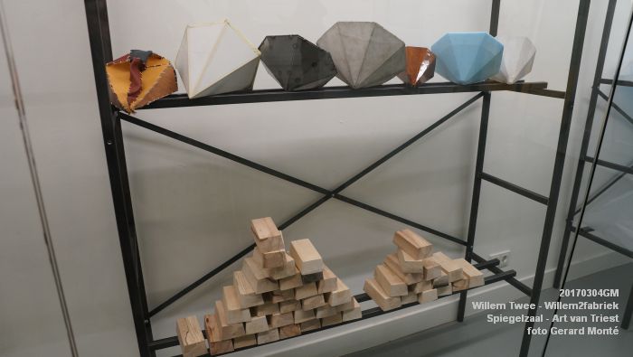DSC07962- Willem Twee - locatie Willem2fabriek Spiegelzaal Art van Triest - 4maart2017 - foto GerardMontE web