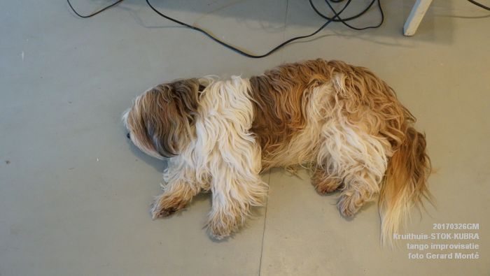 DSC09996- Kruithuis - STOK - Kubra workshops - tango improvisatie - 26maart2017 - foto GerardMontE web