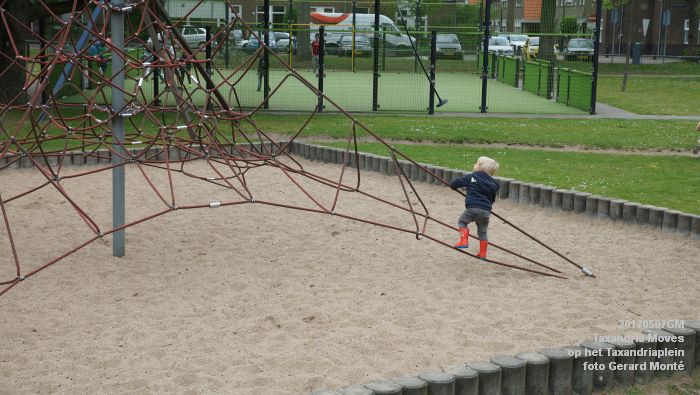 DSC06708- Zondagmiddag in Den Bosch - Taxandria Moves op het Taxandriaplein - 7meil2017 - foto GerardMontE web