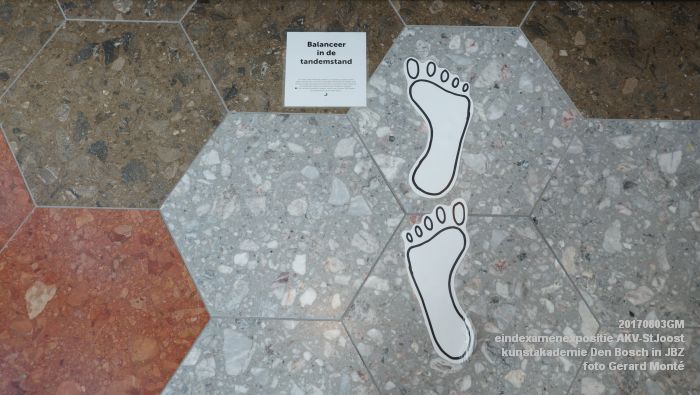 DSC00903- eindexamenexpositie kunstakademie AKV-StJoost Den Bosch in JBZ - 3aug2017 - foto GerardMontE web