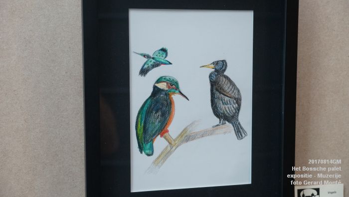 DSC02230- Algemene ledenexpositie van Het Bossche palet in de Muzerije - 14aug2017 - foto GerardMontE web