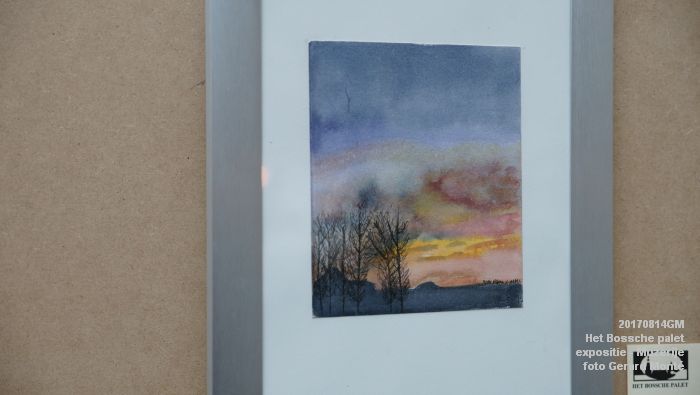 DSC02233- Algemene ledenexpositie van Het Bossche palet in de Muzerije - 14aug2017 - foto GerardMontE web