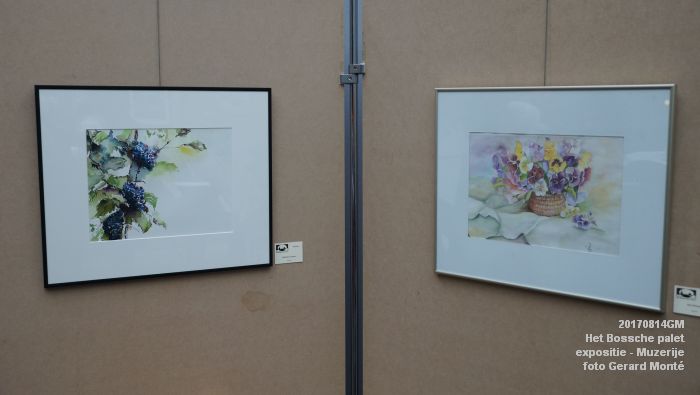 DSC02246- Algemene ledenexpositie van Het Bossche palet in de Muzerije - 14aug2017 - foto GerardMontE web