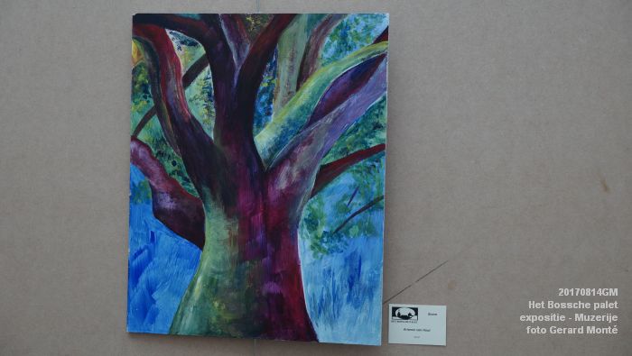 DSC02257- Algemene ledenexpositie van Het Bossche palet in de Muzerije - 14aug2017 - foto GerardMontE web