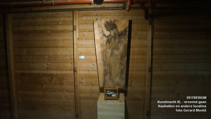DSC00268- Kunstnacht XL - Kaaihallen - Mengfabriek  - 30sept2017 - foto GerardMontE web