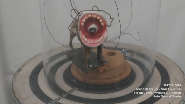 DSC02572- Grafisch Atelier - Small worlds big thoughts - Myrthe en Lisetteh - 14oktober2017 - foto GerardMontE web