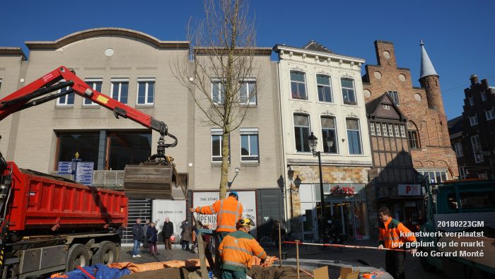 GDSC06104- Gemeente kunstwerk verplaatst EG van MB - boom op de markt - 23feb2018 - foto GerardMontE web