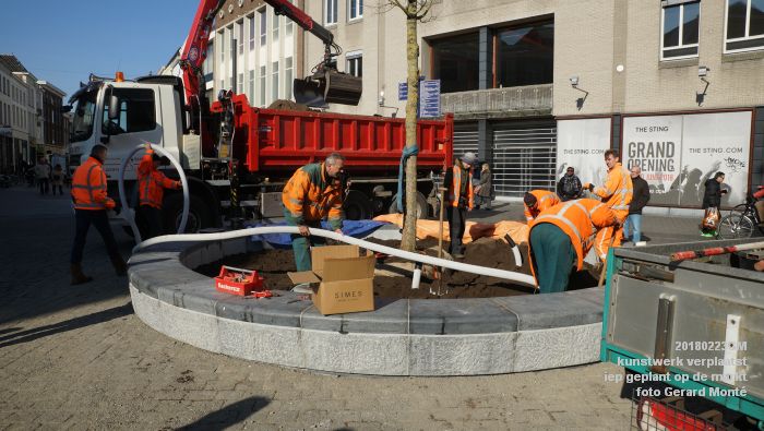 GDSC06121- Gemeente kunstwerk verplaatst EG van MB - boom op de markt - 23feb2018 - foto GerardMontE web