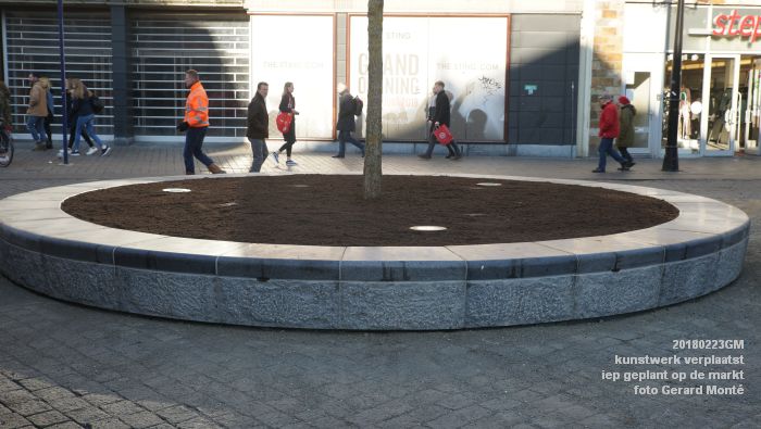 GDSC06129- Gemeente kunstwerk verplaatst EG van MB - boom op de markt - 23feb2018 - foto GerardMontE web